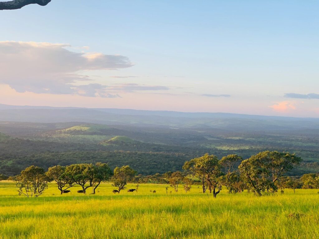Home a grassy field with trees and mountains in the background